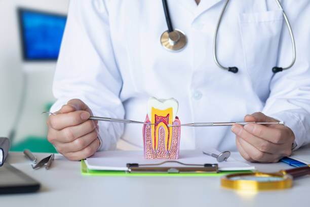 Best Root Canal Emergency Dentist  in Bowleys Quarters, MD